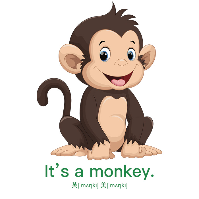 It's a monkey